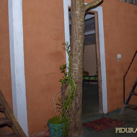 Pidurangala Hostel 锡吉里亚 外观 照片