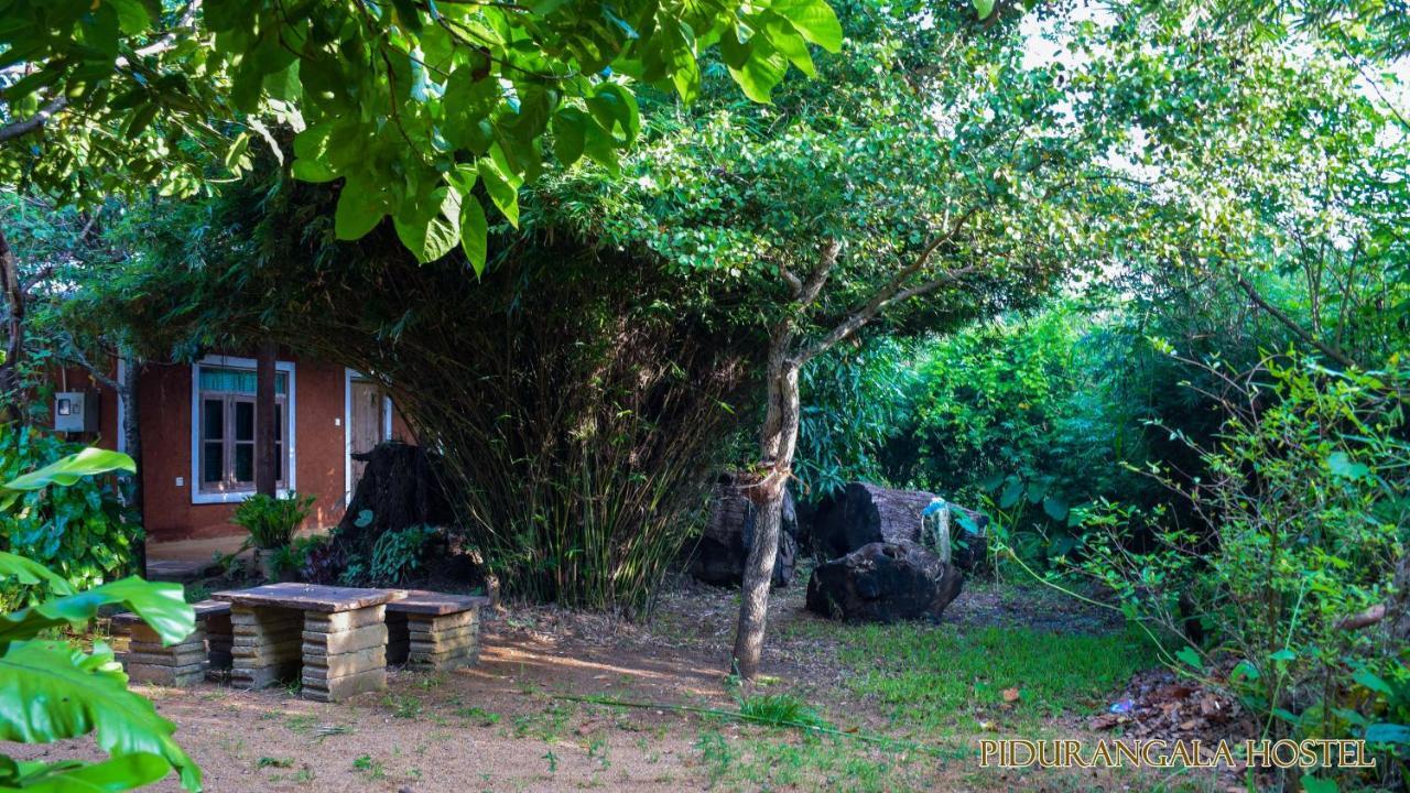 Pidurangala Hostel 锡吉里亚 外观 照片